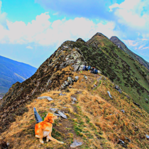 Kareri lake trek