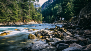 Kasol